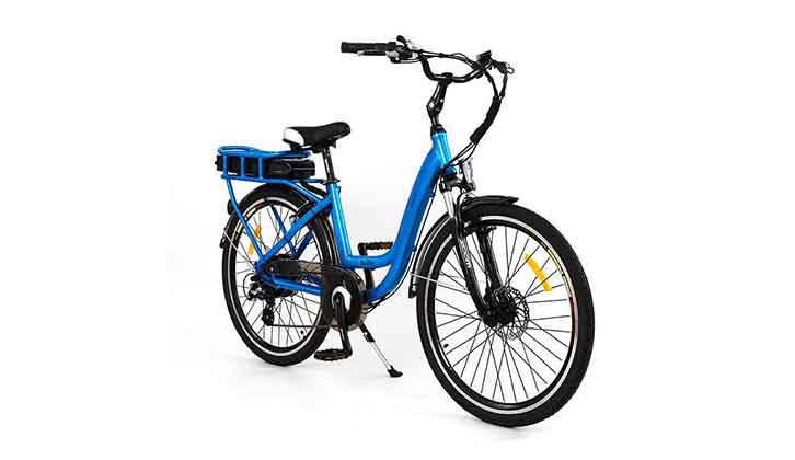 A RooDog Electric Bike