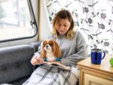 A smiling woman and a dog sitting under a blanket in a van as the woman reads a book